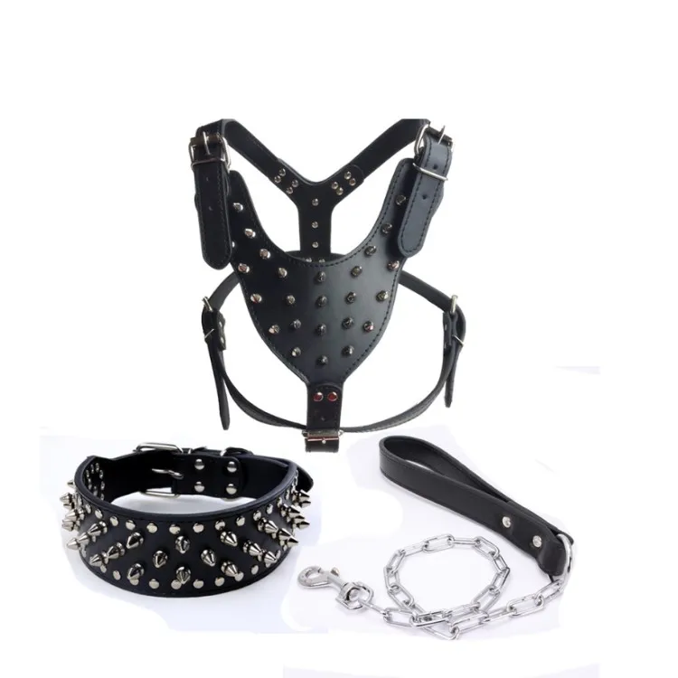 dog harness leash set