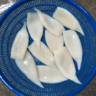 California Squid Frozen California Pacific Squid Tube Iqf Argentina Importer