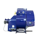 Burners Professional Manufacture Cheap EBICO ES Natural Gas Burners For Boilers