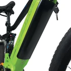 Electric Double 26 Inch 48V Electric Bike Electric Bicycle Mid Drive Double Suspension