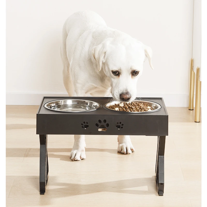 what is the correct height for elevated dog bowls