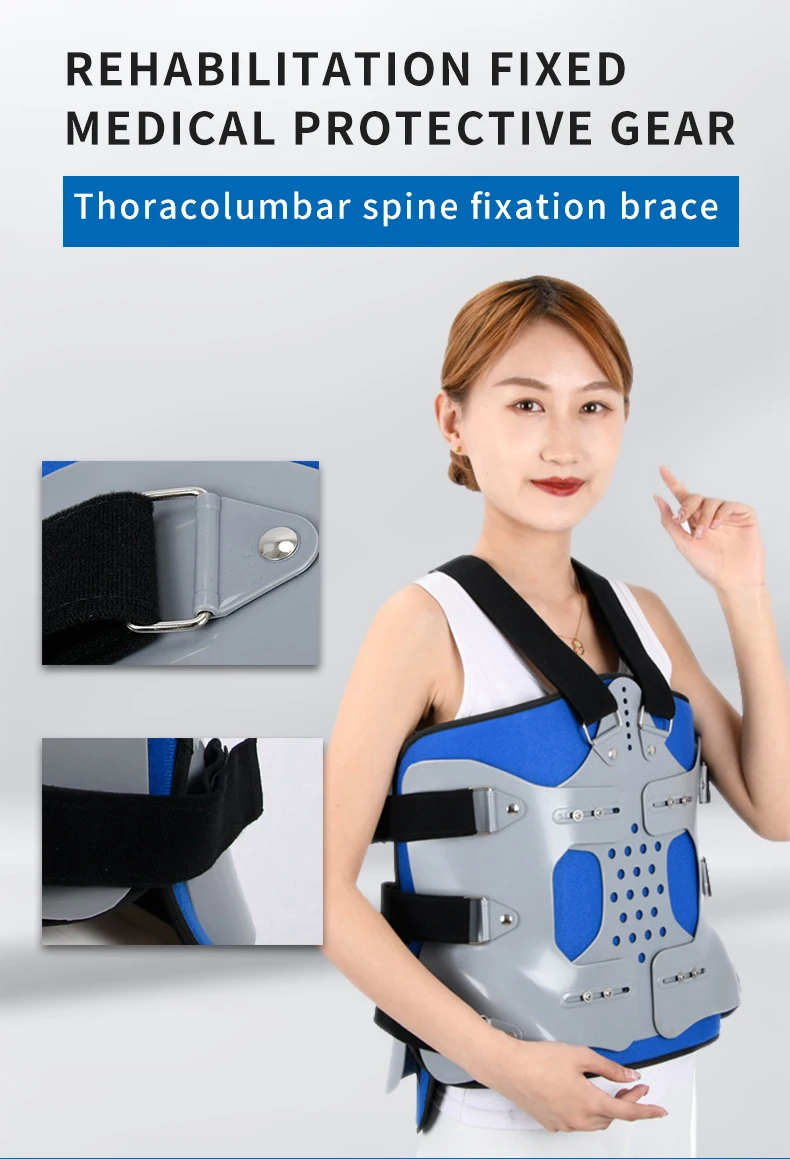 Thoracic And Lumbar Vertebrae Fixed Support Reinforced Thoracic