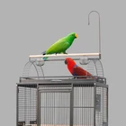 Parrot Large Luxury Metal Parrot Cage For Sale Breeding Sunflowered Grey Parrot Bird House Outside Cage For Birds