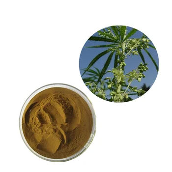 Best Quality oem products hot sale Hemp Seed Extract with Protein powder