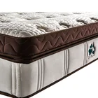 Mattresses 16 Inch Luxury Mini Coil Thick Euro Top Foam Box Encasement Doubl Pocket Spring Mattresses