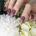 Polish Global Fashion Wholesale Organic Cheap Color None Soak Off Oil Base Nail Polish