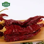 Sweet Pepper Sweet Paprika Dried Red Chili Pepper Wholesale With Export Price