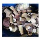 Whole Sale IQF Porcini Mushrooms Fresh Boletus Edulis Frozen Fungus Mushrooms Natural Wild Porcini Mushrooms