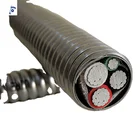 Awg Cable Awg Best Price UL 1569 12/2 AWG 12/3 Armored Cable BX /AC /MC Cable With UL Certificate