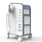 Vertical Sculpt Ems Fitness Equipment Body Shaping Machine