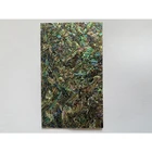 Abalone Shell Shellshell HCX022 Dragon Abalone Paint Abalone Shell Paper