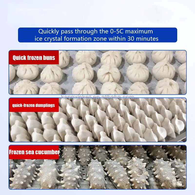 Blast Freezer, 220V, -40℃ - detail 16