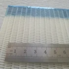 Belt Polyester Mesh Conveyor Belt Paper Make Sludge Dewatering Mesh Belt Polyester Forming Press Filter Conveyor Belt