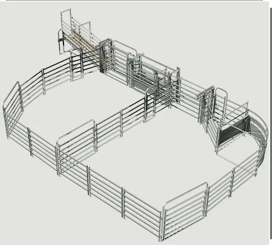 cattle yard design(1)