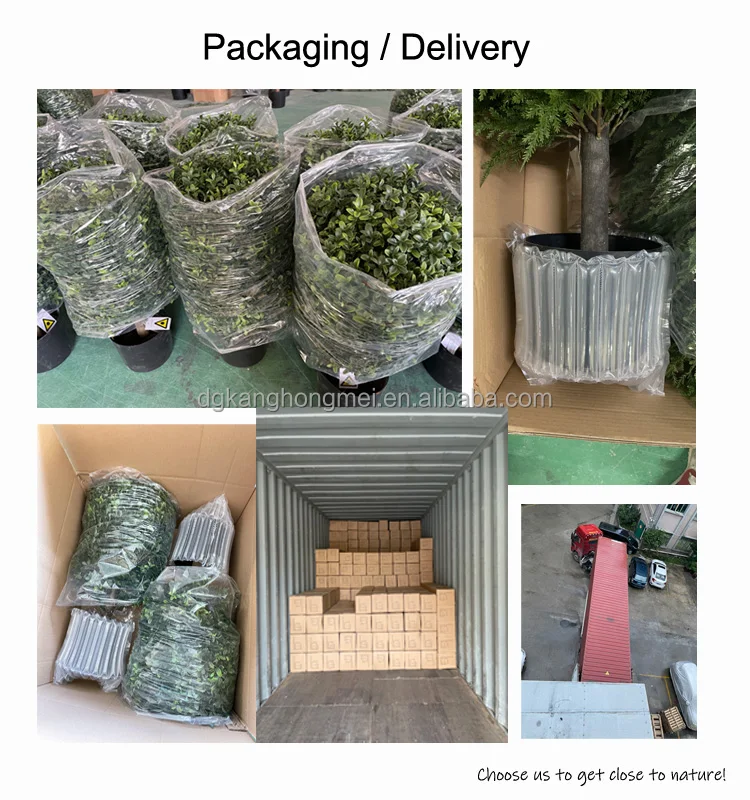 packaging delivery