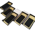 Eyelash Extensions Professional Eyelash Extension Wholesale High Quality Silk Individual Private Label False Eye Lash Eyelash Extensions Professional Supplies
