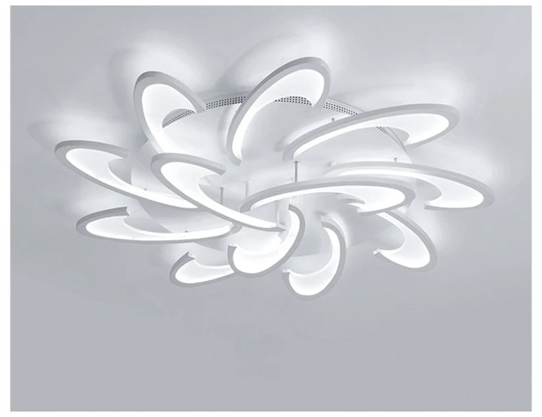 Contemporary Style LED Ceiling Lamp Acrylic Aluminum Ceiling Lights Lighting