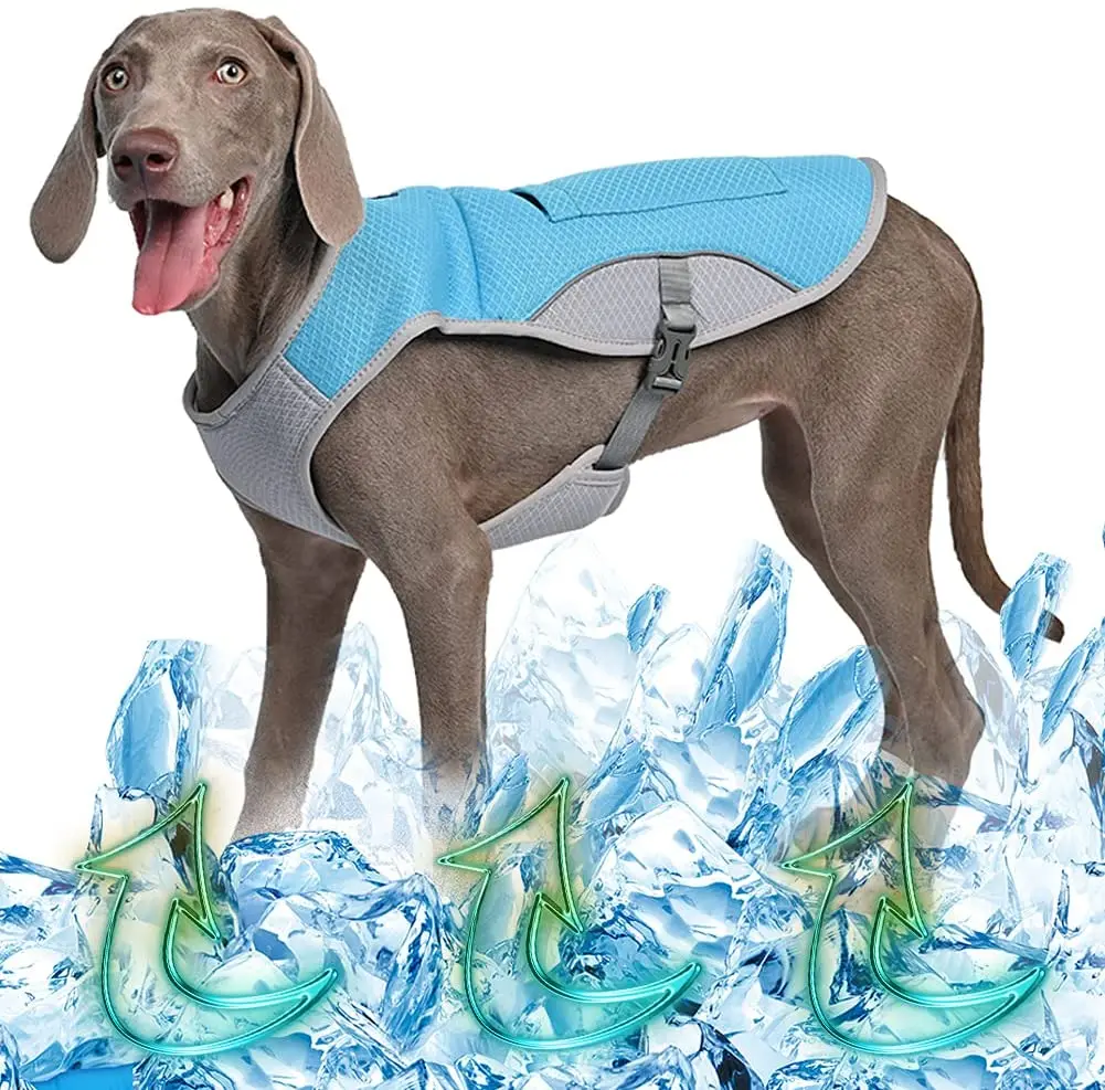 dog ice pack jacket