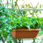Pot Metal Garden Flower Pot Hanging Iron Frame Park Decorative Flower Frame