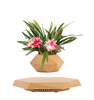 Hanging Garden Plant Ceramic Indoor Smart Bonsai Luxury Planter Magnetic Floating Levitating Flower Pot
