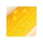 Corn Corn Production Of Fresh Yellow Corn Sweet Corn Yellow Maize Wholesale
