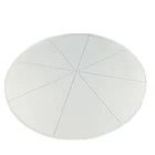 China Good Quality Glasses Optical HCP-01 High Precision Projection Screen Glass For Projector