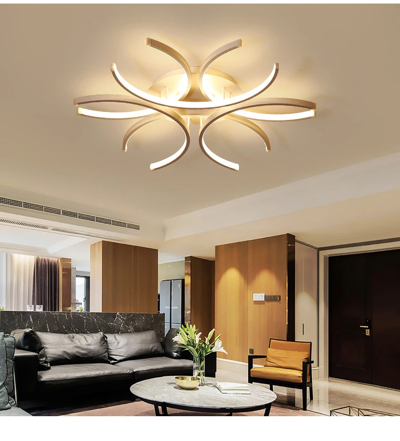 Home Decorative LED Ceiling Light Modern Living Room Bedroom LED Indoor Lighting