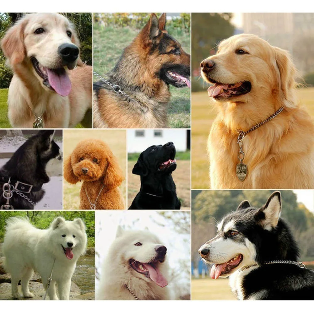 10.6MM/15MM/19MM Width Pet Collars Dog Chain Stainless Steel P Chain Rotating Buckle Choke Dog Chain for Medium and Large Dog