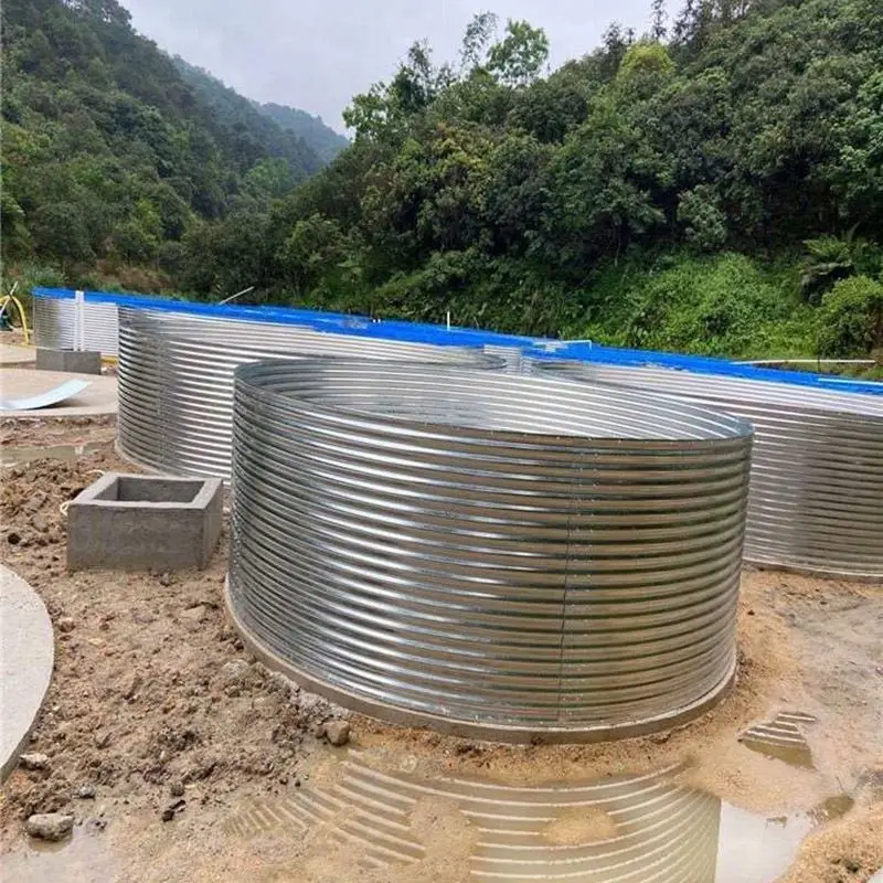 Recirculating Aquaculture System Round Aquaculture Tanks Tilapia Fish