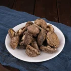 Hot Sale Log White Flower Mushroom / Dry Shiitake /hot Sale Magic Dried Mushrooms