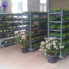 Cart Customized Horticultural Danish Detachable Metal Galvanized Folding Plant Transport Cart