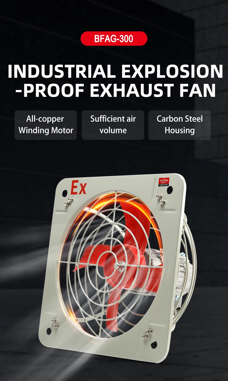 Axial Flow Fan, BFAG, Explosion-Proof, IP65 - detail 4