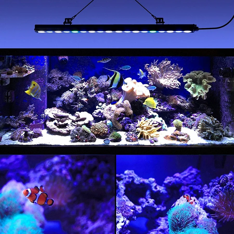 led aquarium light (8).jpg