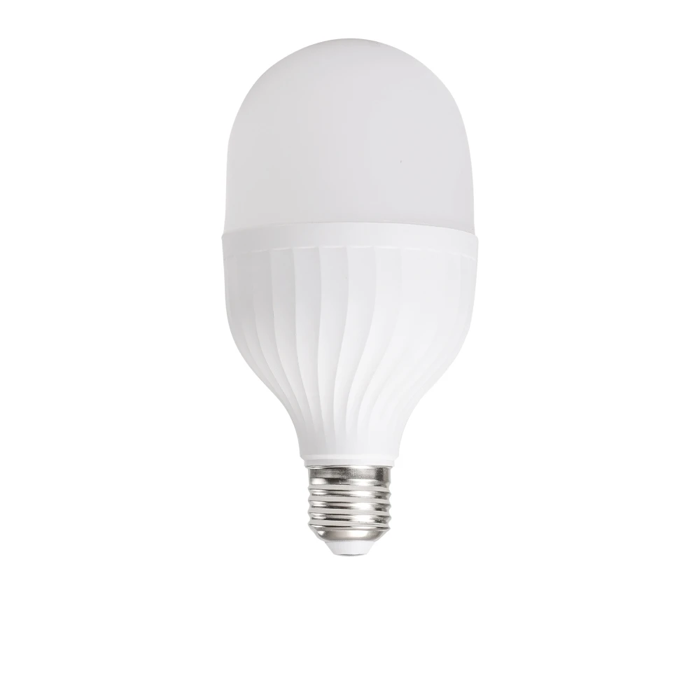 egg shaped light bulb