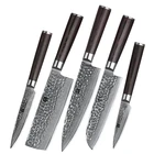 Set Knives Damascus Knife Set 5 Pcs Professional 67 Layers Damascus Kitchen Knife Set