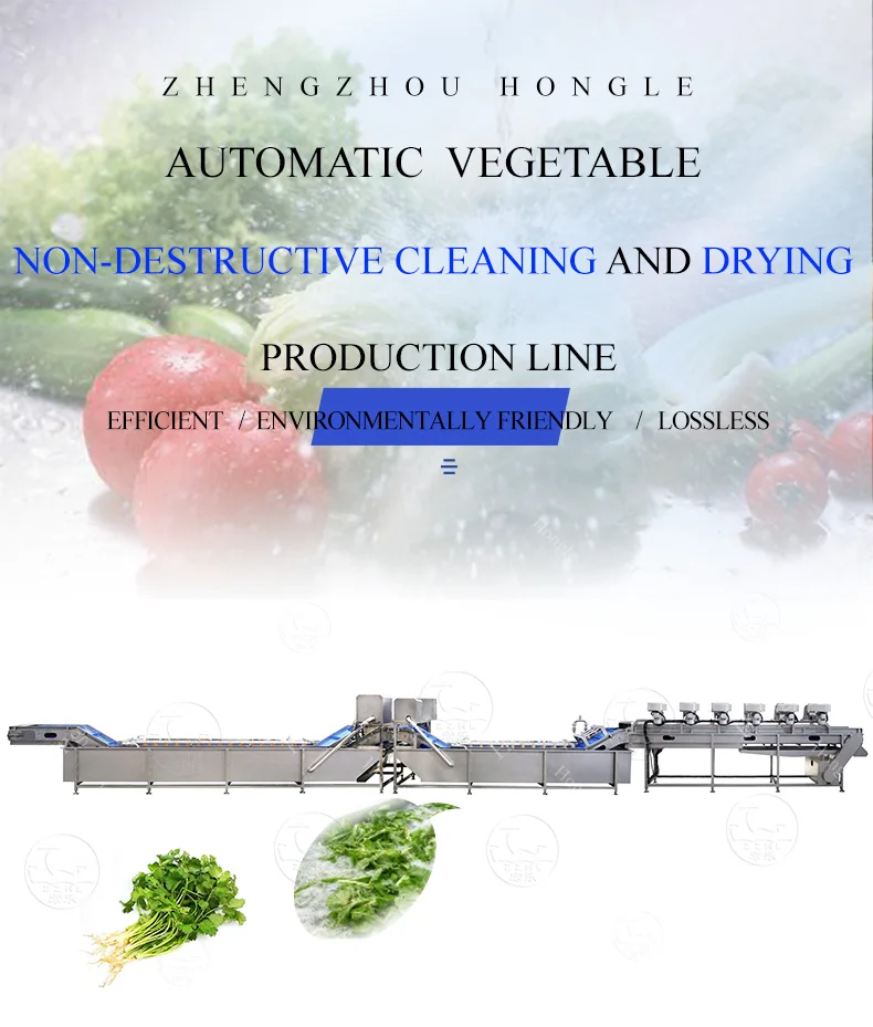 Dehydrator Fruit And Vegetables Packing Peeling Cutting Washing Processing Machines N Vegetable Slicer Cutter Chopper details
