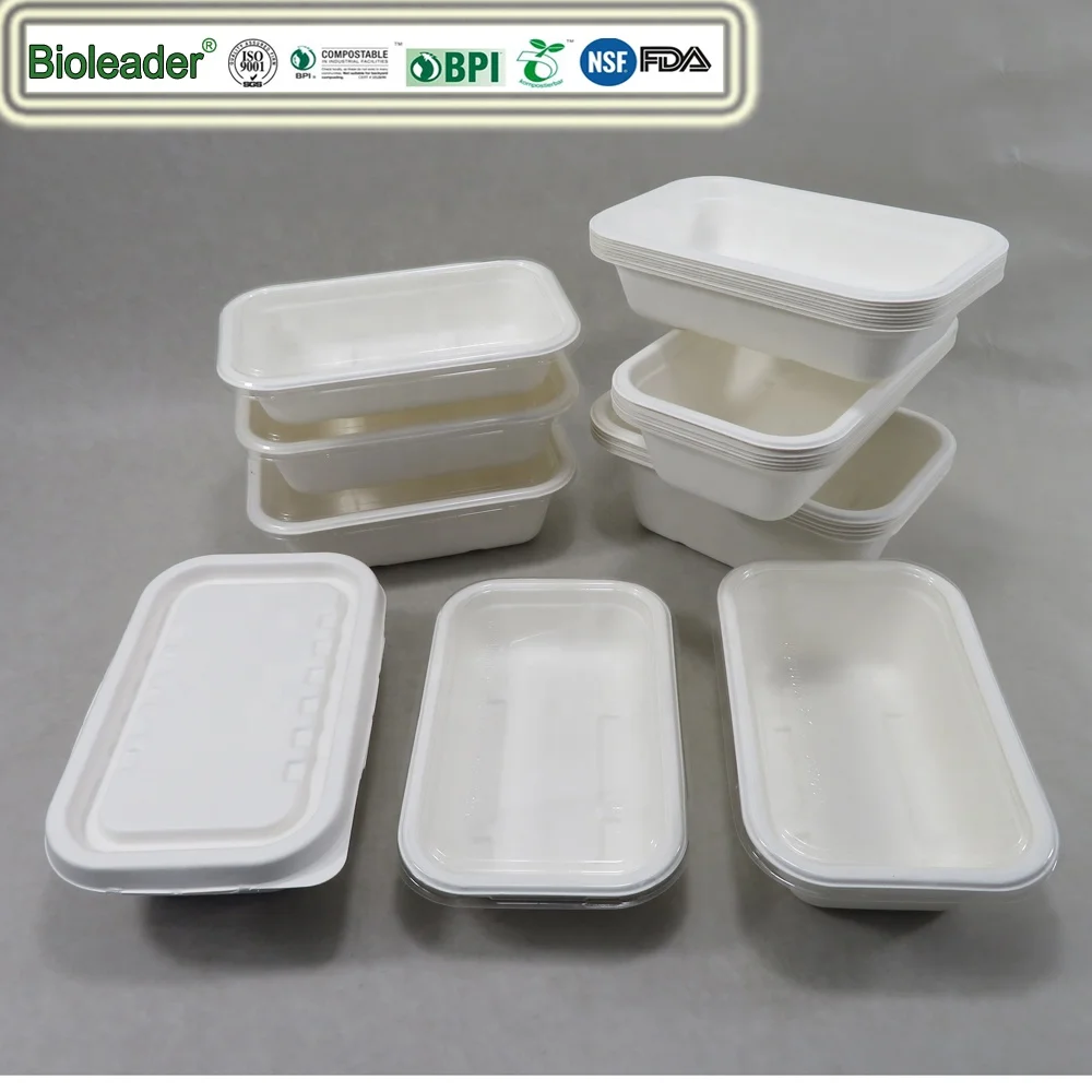 Biodegradable Sugar Cane Food Tray