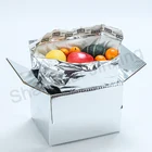 Sausage Box Insulation Carton Box Custom Sausage Cold Insulation Thermal Foam Box Aluminum Foil Carton
