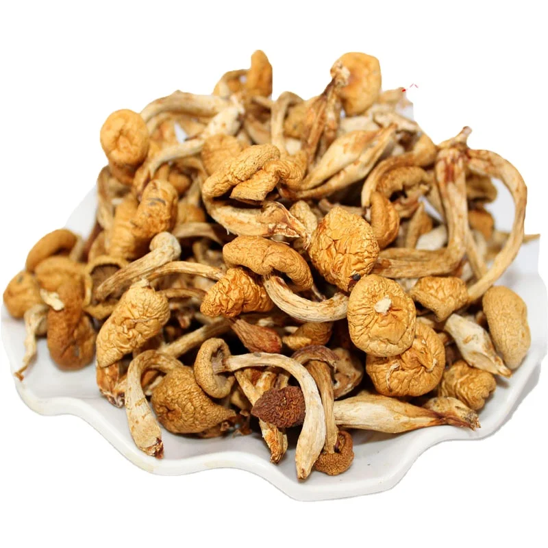 Low Price Dried Nameko Mushroom With Good Quality - Buy Dried Nameko With Good Quality,Nameko Mushroom,Low Price Dried Nameko Product on Alibaba.com