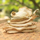 Tea Hot Sale Dried Bergamot Slice Fruit Tea