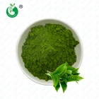 Tea Matcha Matcha 100% Pure Natural Pincredit Organic Green Tea Matcha Powder