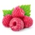 Organic Freeze Dried Raspberry Powder Raspberry Powder Raspberry Fruit Powder