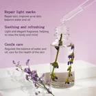 Oil Wholesale Bulk 100% Pure Natural Organic Lavender Essential Oil Multi Use Oil For Face Body And Hair