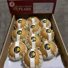 Asian Pear New Harvest Hot Sell 2021 Asian Fresh Singo Pear Manufacturers From China Korean Pear With Tiger Carton