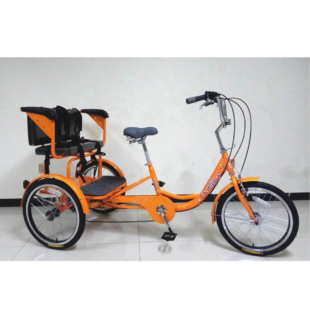 multi speed tricycle