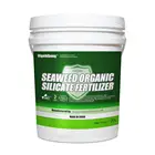 Fertilizer Rice Organic Fertilizer Companies Bulk Seaweed Silicon Liquid Organic Fertilizer For Rice