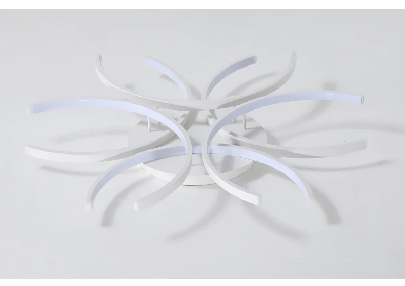 Home Decorative LED Ceiling Light Modern Living Room Bedroom LED Indoor Lighting