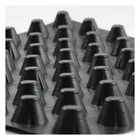 Roof Hdpe Drainage Board 1.0-5.0cm Hdpe Dimpled Drain Board Or Dimple Drainage Sheet For Roof Garden