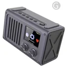 Home Stereo Audio Pocket FM Wifi Internet Radio