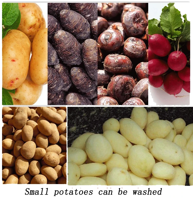 Heavy-Duty Electric Potato & Sweet Potato Peeler Cutter Machine Easy-to-Operate for Fruit & Vegetable Manufacturing supplier